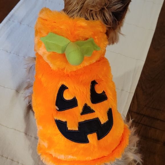 2X Host Pick 🐶🥰🐕 Dog Pumpkin Halloween Costume XS - Picture 6 of 16